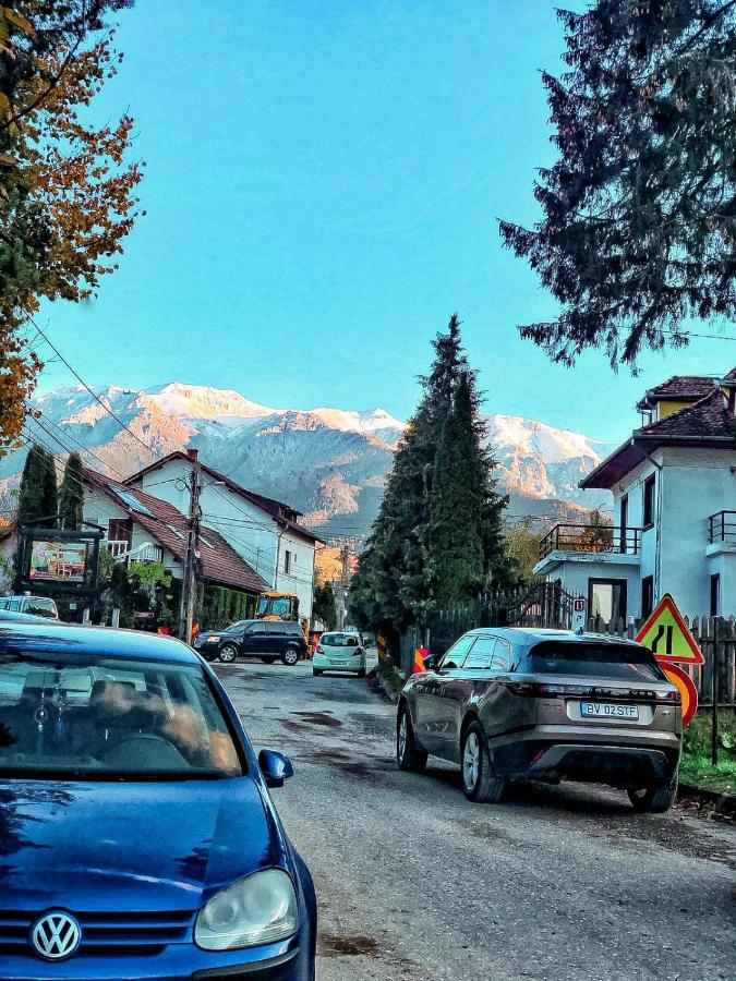 Transylvania Mountain View Cdi Бран Экстерьер фото