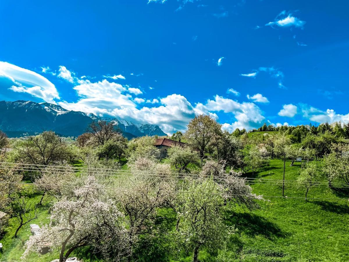 Отель Transylvania Mountain View Cdi Бран Экстерьер фото