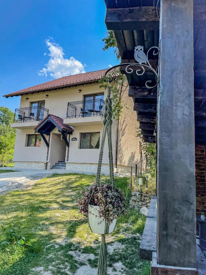 Transylvania Mountain View Cdi Бран Экстерьер фото